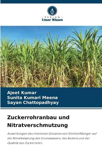 Zuckerrohranbau und Nitratverschmutzung