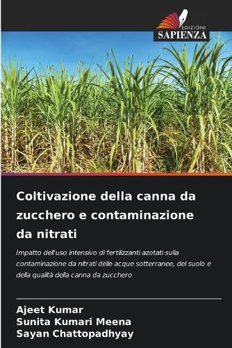 Coltivazione della canna da zucchero e contaminazione da nitrati