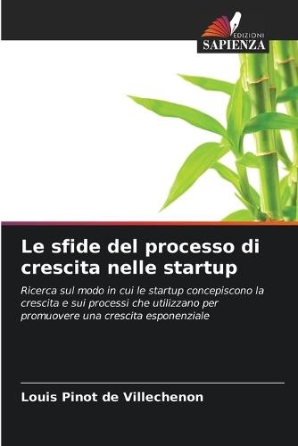 Le sfide del processo di crescita nelle startup