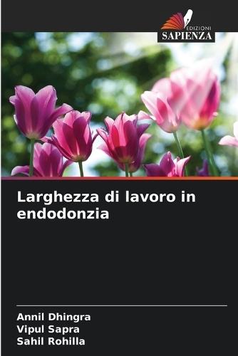 Larghezza di lavoro in endodonzia