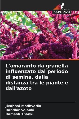 L'amaranto da granella influenzato dal periodo di semina, dalla distanza tra le piante e dall'azoto