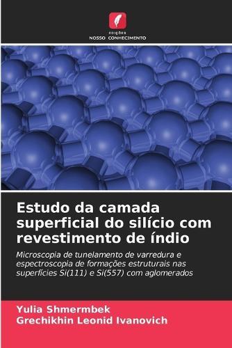 Estudo da camada superficial do silício com revestimento de índio