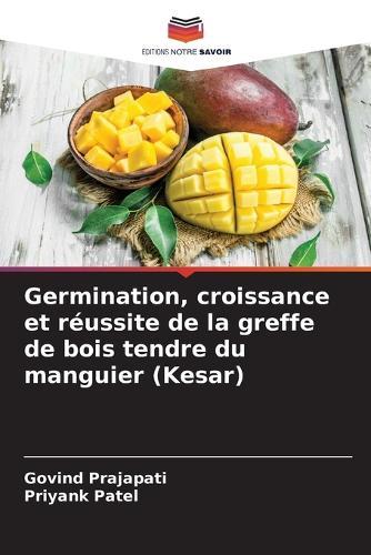 Germination, croissance et réussite de la greffe de bois tendre du manguier (Kesar)