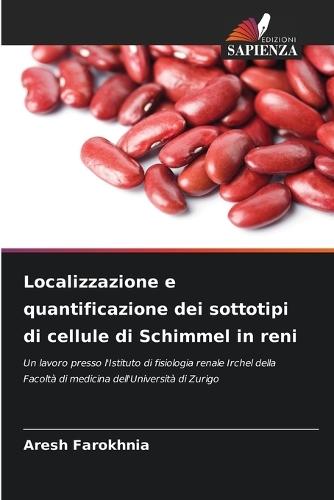 Localizzazione e quantificazione dei sottotipi di cellule di Schimmel in reni