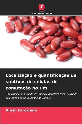 Localização e quantificação de subtipos de células de comutação no rim