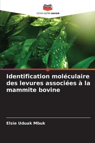 Identification moléculaire des levures associées à la mammite bovine