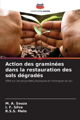 Action des graminées dans la restauration des sols dégradés