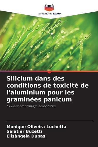 Silicium dans des conditions de toxicité de l'aluminium pour les graminées panicum