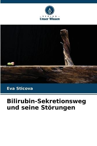 Bilirubin-Sekretionsweg und seine Störungen