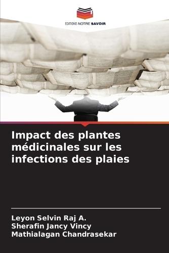 Impact des plantes médicinales sur les infections des plaies