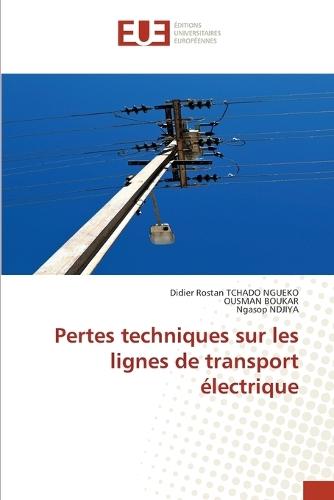 Pertes techniques sur les lignes de transport électrique