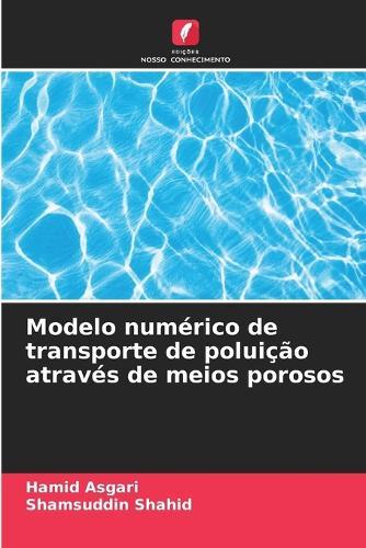 Modelo numérico de transporte de poluição através de meios porosos