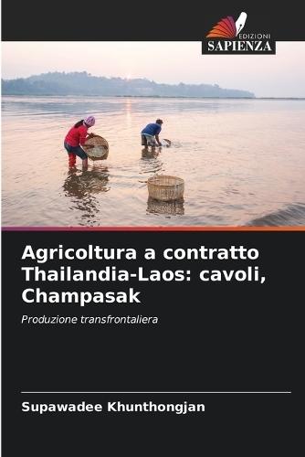 Agricoltura a contratto Thailandia-Laos: cavoli, Champasak