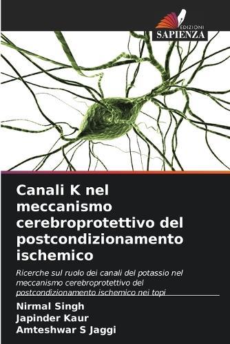 Canali K nel meccanismo cerebroprotettivo del postcondizionamento ischemico