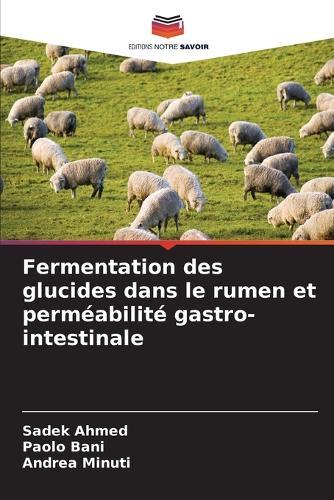 Fermentation des glucides dans le rumen et perméabilité gastro-intestinale