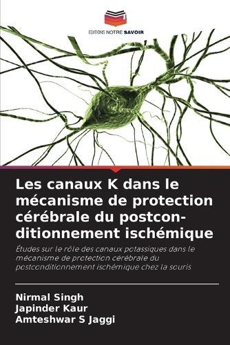 Les canaux K dans le mécanisme de protection cérébrale du postcon-ditionnement ischémique