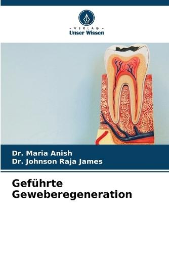 Geführte Geweberegeneration