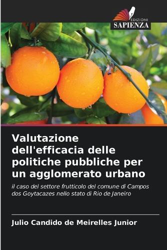 Valutazione dell'efficacia delle politiche pubbliche per un agglomerato urbano