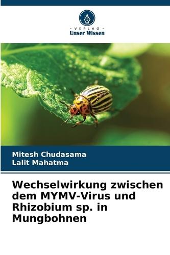 Wechselwirkung zwischen dem MYMV-Virus und Rhizobium sp. in Mungbohnen
