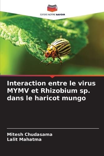 Interaction entre le virus MYMV et Rhizobium sp. dans le haricot mungo