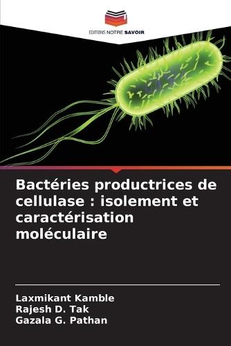 Bactéries productrices de cellulase: isolement et caractérisation moléculaire