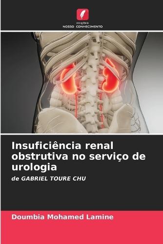 Insuficiência renal obstrutiva no serviço de urologia
