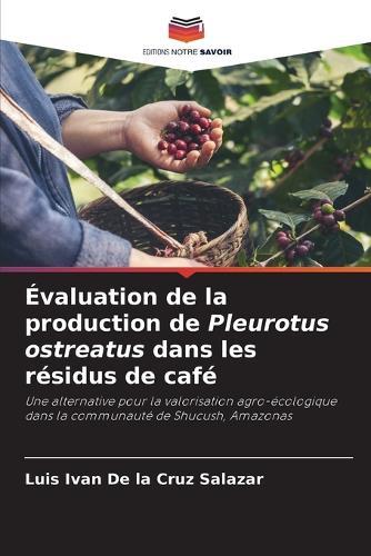 Évaluation de la production de Pleurotus ostreatus dans les résidus de café