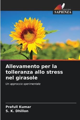 Allevamento per la tolleranza allo stress nel girasole
