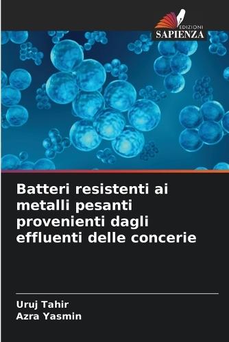 Batteri resistenti ai metalli pesanti provenienti dagli effluenti delle concerie