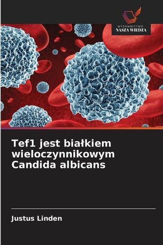Tef1 jest bialkiem wieloczynnikowym Candida albicans