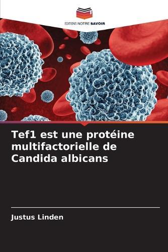 Tef1 est une protéine multifactorielle de Candida albicans