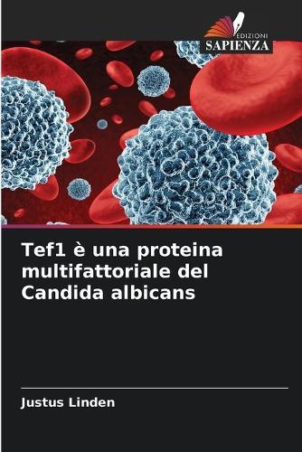 Tef1 è una proteina multifattoriale del Candida albicans