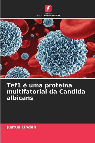 Tef1 é uma proteína multifatorial da Candida albicans