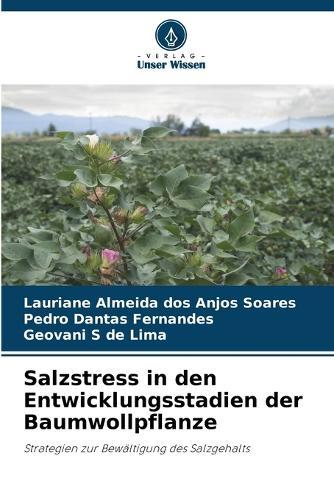 Salzstress in den Entwicklungsstadien der Baumwollpflanze