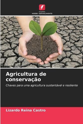 Agricultura de conservação