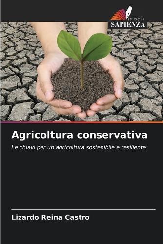 Agricoltura conservativa