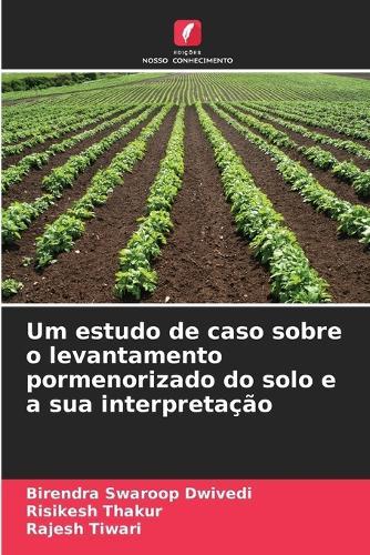 Um estudo de caso sobre o levantamento pormenorizado do solo e a sua interpretação