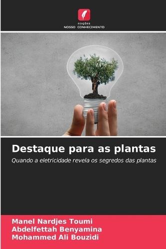 Destaque para as plantas