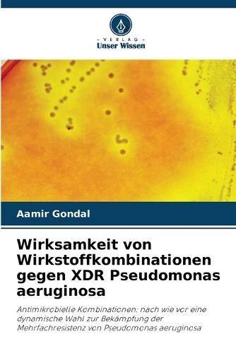 Wirksamkeit von Wirkstoffkombinationen gegen XDR Pseudomonas aeruginosa