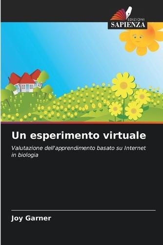 Un esperimento virtuale