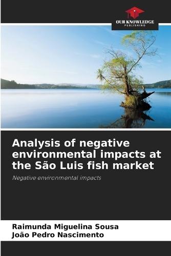 Analysis of negative environmental impacts at the São Luis fish market