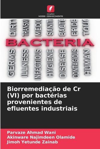 Biorremediação de Cr (VI) por bactérias provenientes de efluentes industriais