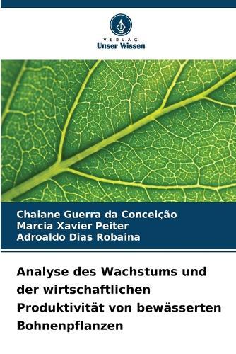 Analyse des Wachstums und der wirtschaftlichen Produktivität von bewässerten Bohnenpflanzen