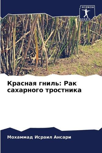 Красная гниль: Рак сахарного тростника