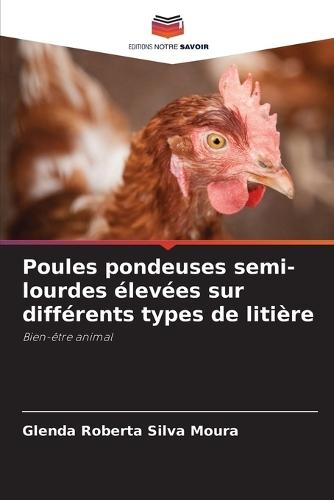 Poules pondeuses semi-lourdes élevées sur différents types de litière