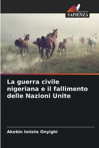 La guerra civile nigeriana e il fallimento delle Nazioni Unite