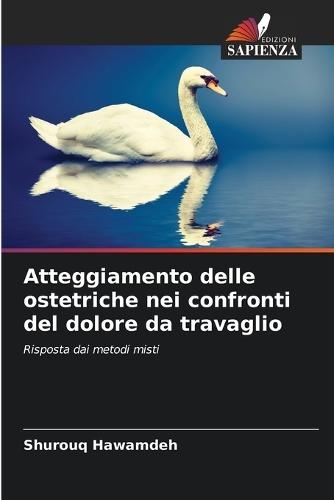 Atteggiamento delle ostetriche nei confronti del dolore da travaglio