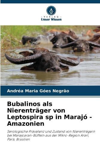 Bubalinos als Nierentr�ger von Leptospira sp in Maraj� - Amazonien