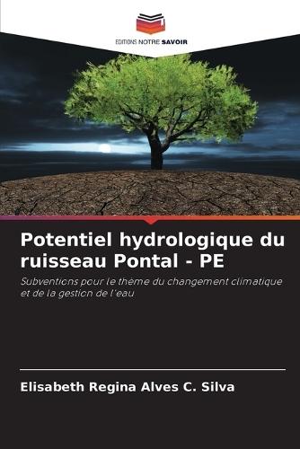 Potentiel hydrologique du ruisseau Pontal - PE