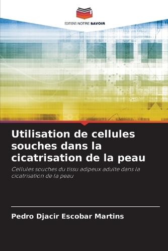 Utilisation de cellules souches dans la cicatrisation de la peau